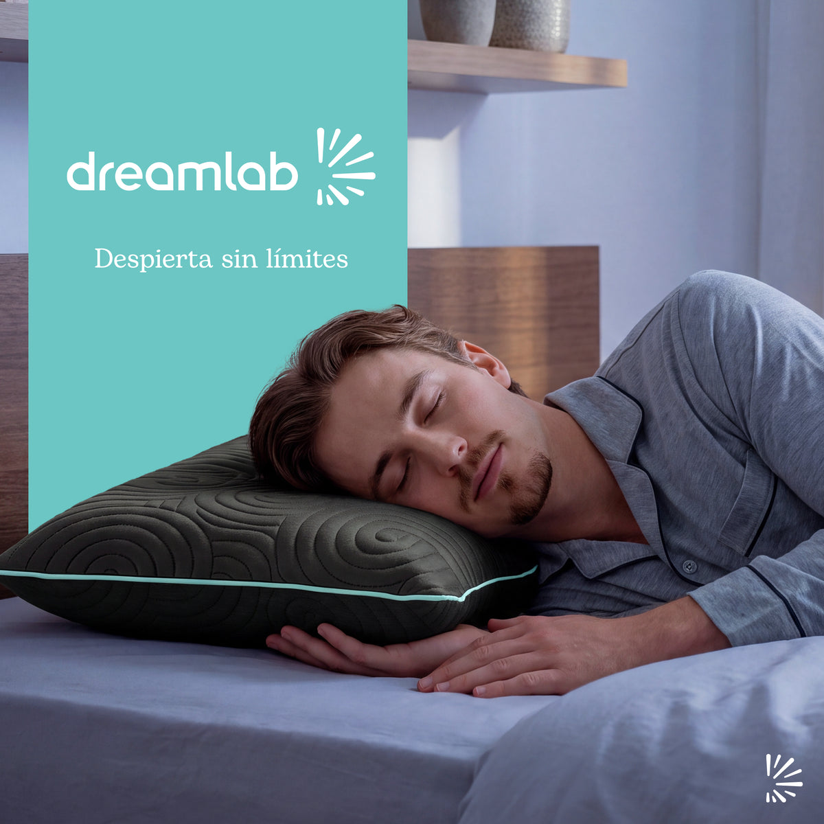 Almohada de Memory Foam Snow Grafito