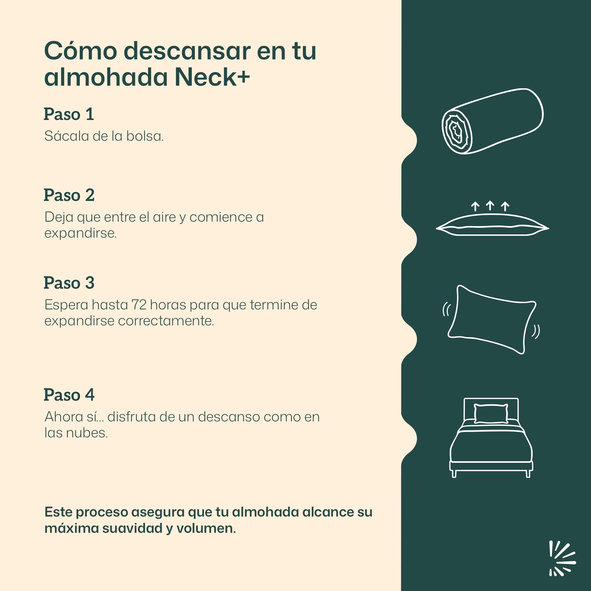 Almohada Neck+